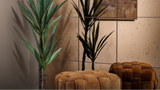 Allure mirrored glass tile feature wall catching soft directional light, showing depth and reflection
