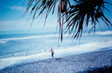 Natural pebble beach in Bali, Indonesia where Island Stone founders discovered inspiration for mesh-mounted pebble tile in the 1990s