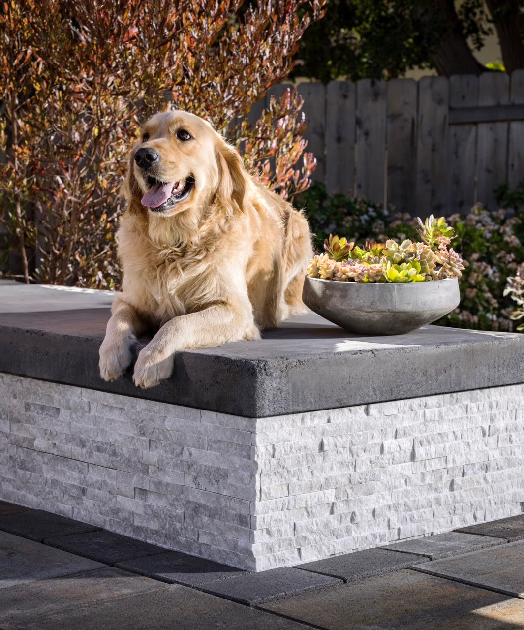 Beyond Boring Walls Creating Stunning Focal Points with Ledger Stone