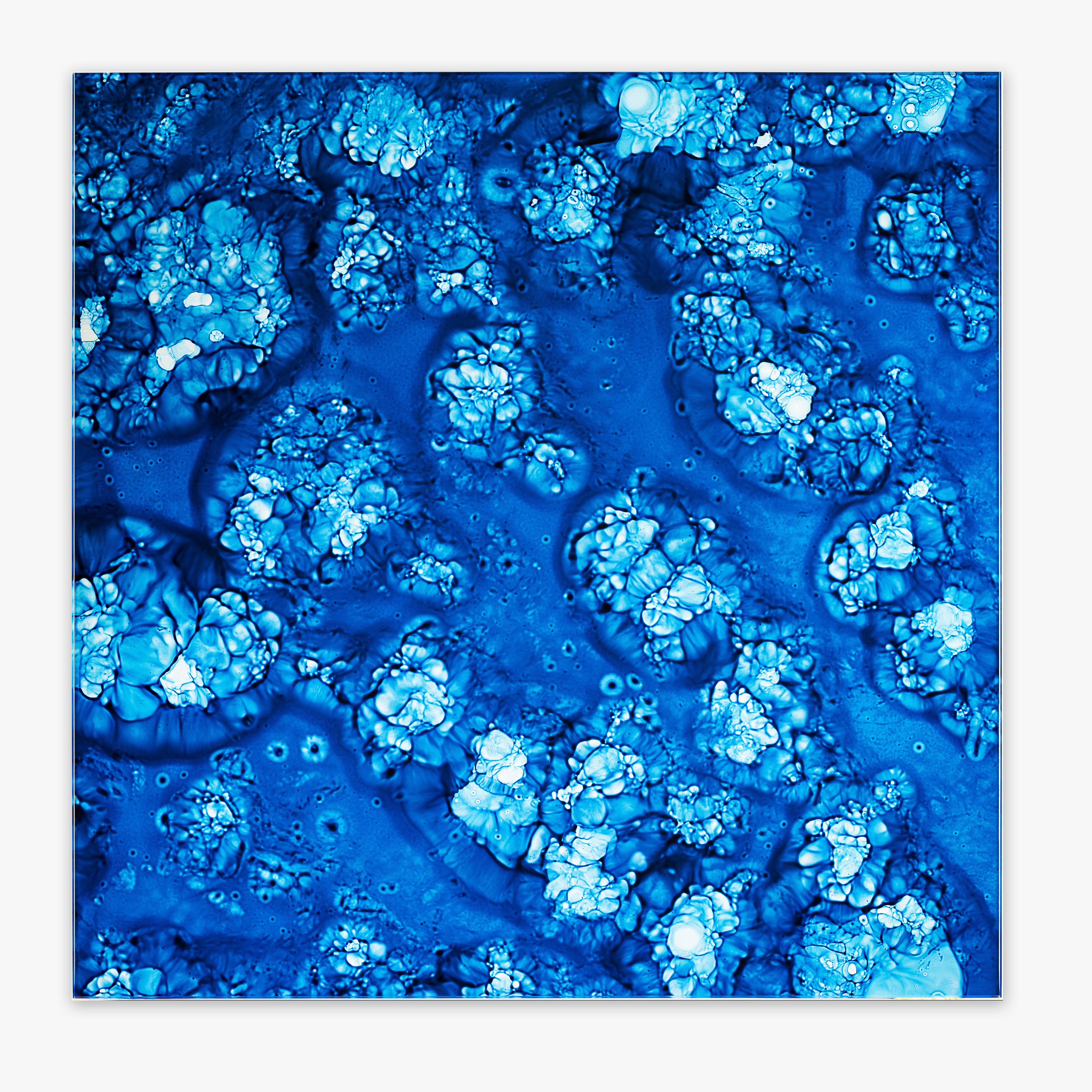 16"x16" Allure Blue Velvet Glass Wall Tile
