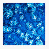 16"x16" Allure Blue Velvet Glass Wall Tile