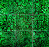 16"x16" Allure Green with Envy Glass Wall Tile