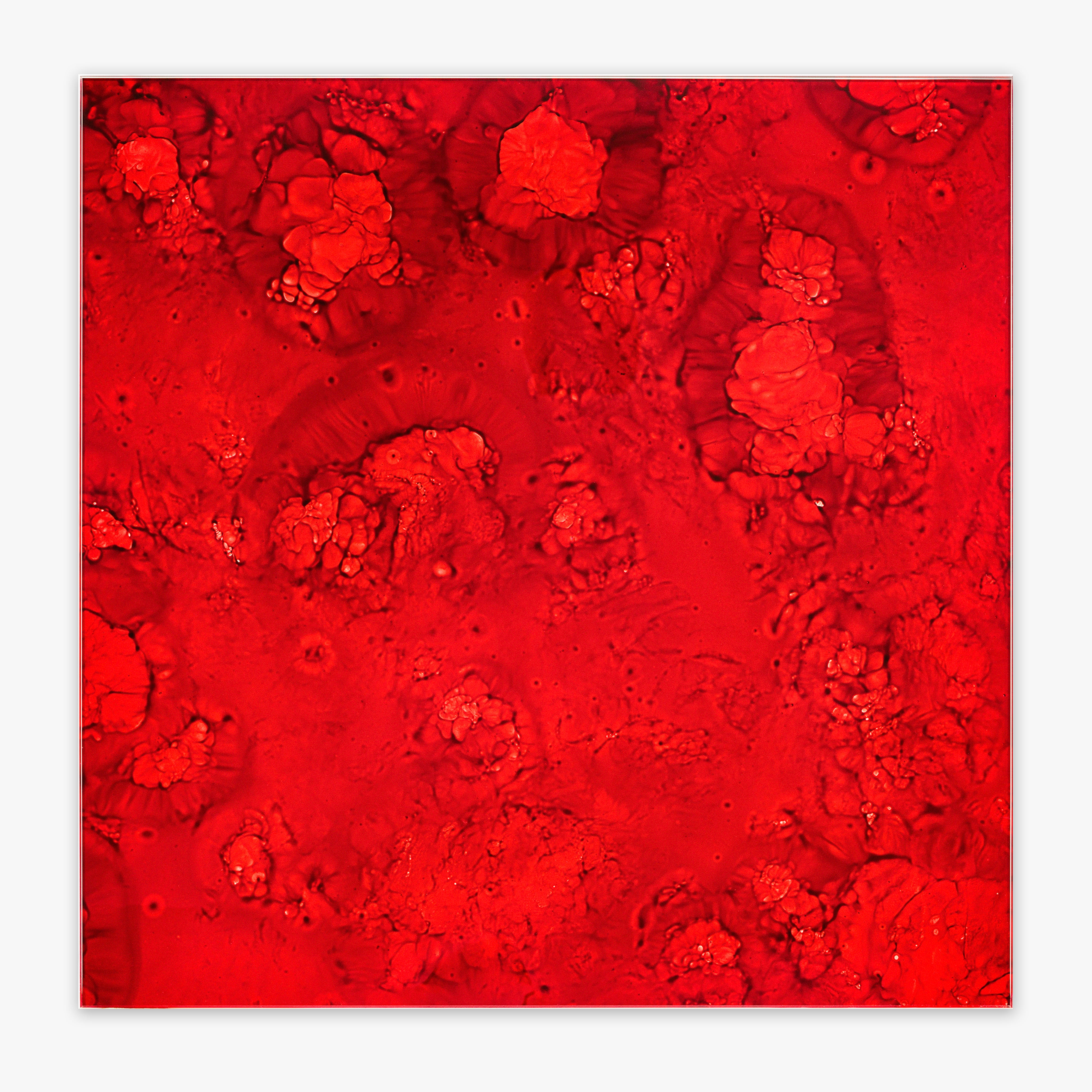 16"x16" Allure Scarlet Glass Wall Tile