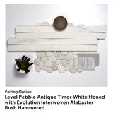 Level Pebble Antique Timor White Honed