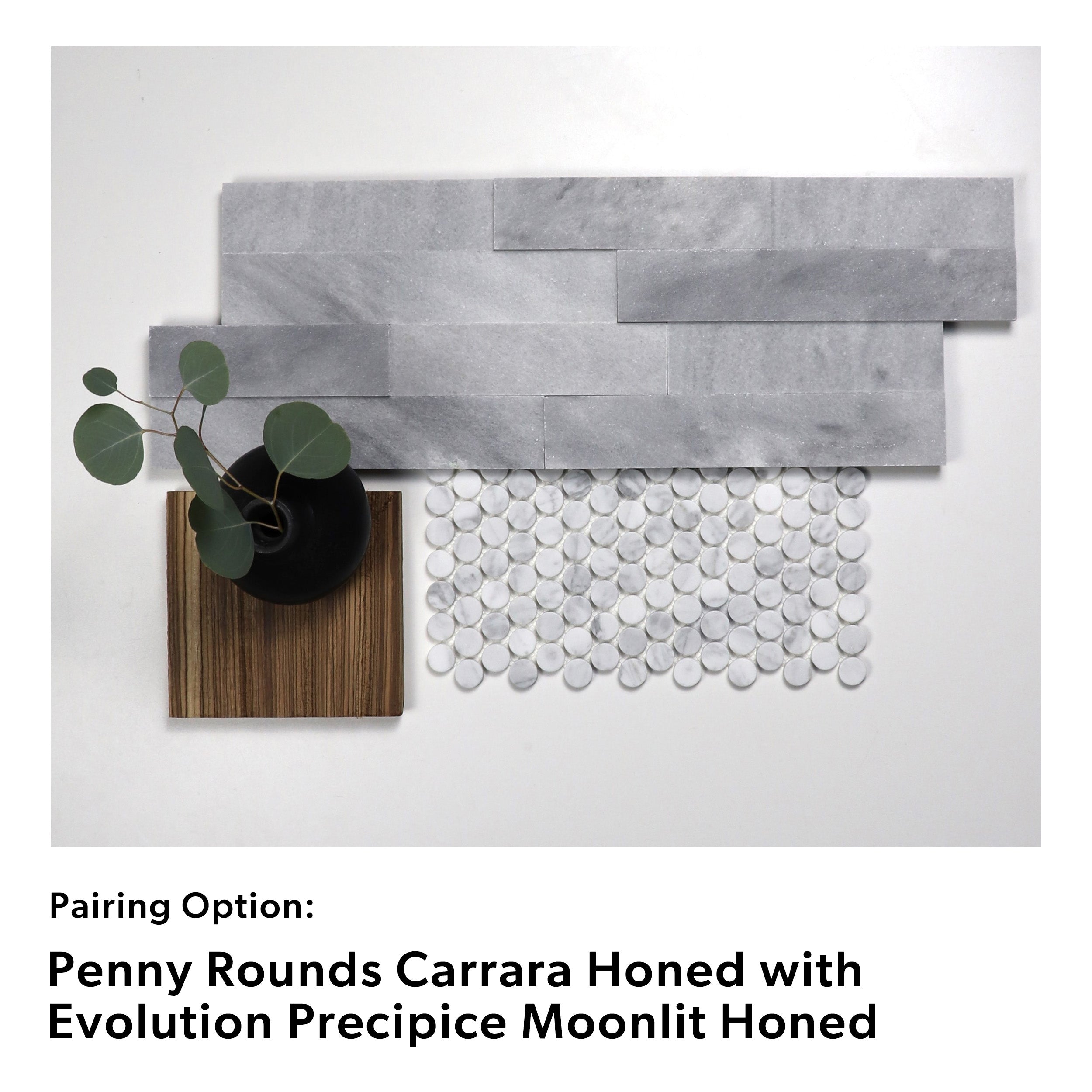 Penny Rounds Carrara Honed