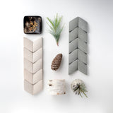 #Color_Sandstone Mint