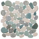 #Color_Birds Egg - fp1pv