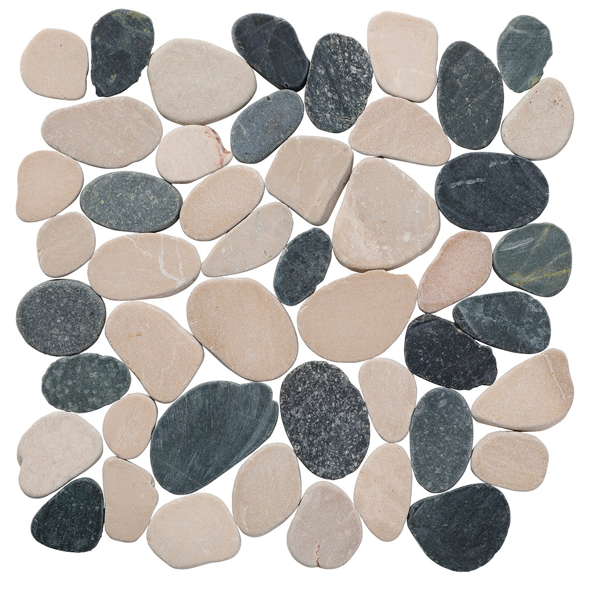 #Color_Black & Tan - fp1pa