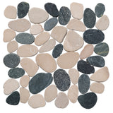 #Color_Black & Tan - fp1pa