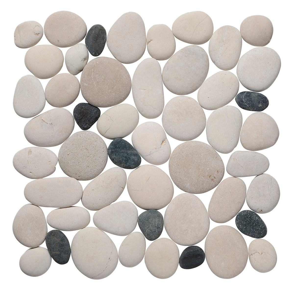 #Color_Poppy Seed - fp1py