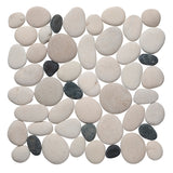 #Color_Poppy Seed - fp1py