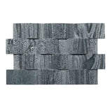 New Wave Silver Quartzite Honed