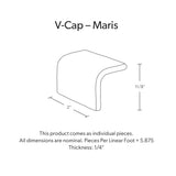 2"x2" V Cap The Shallows Gloss