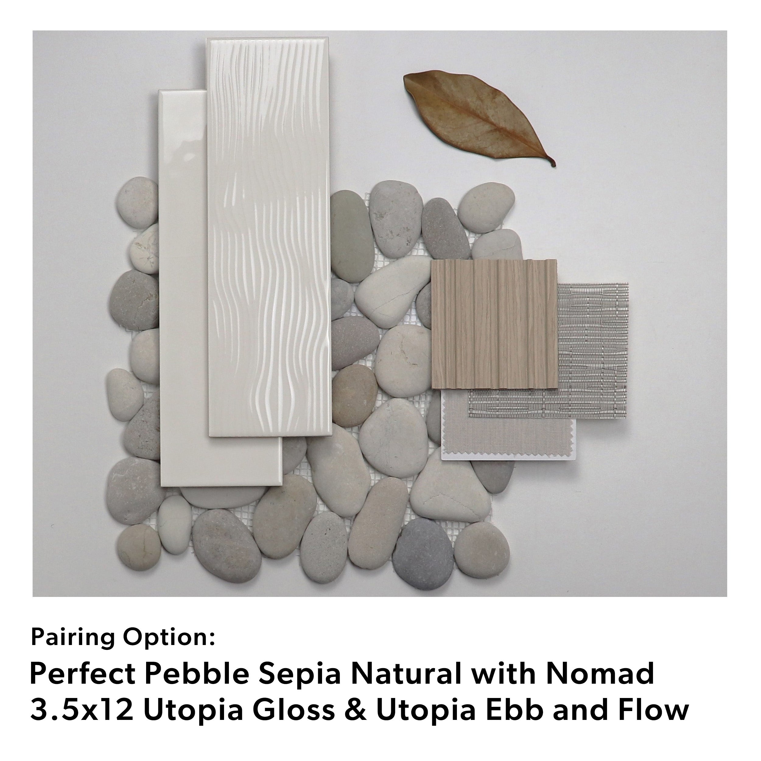 #Color_Sepia - fp1sep