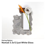 Cobbles Volcano Grey Tumbled