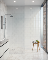 6"x12" | Pure Silk Gloss shower wall