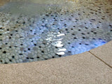 Perfect Pebble Poppy Seed Natural