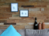 Rimba Natural Distressed