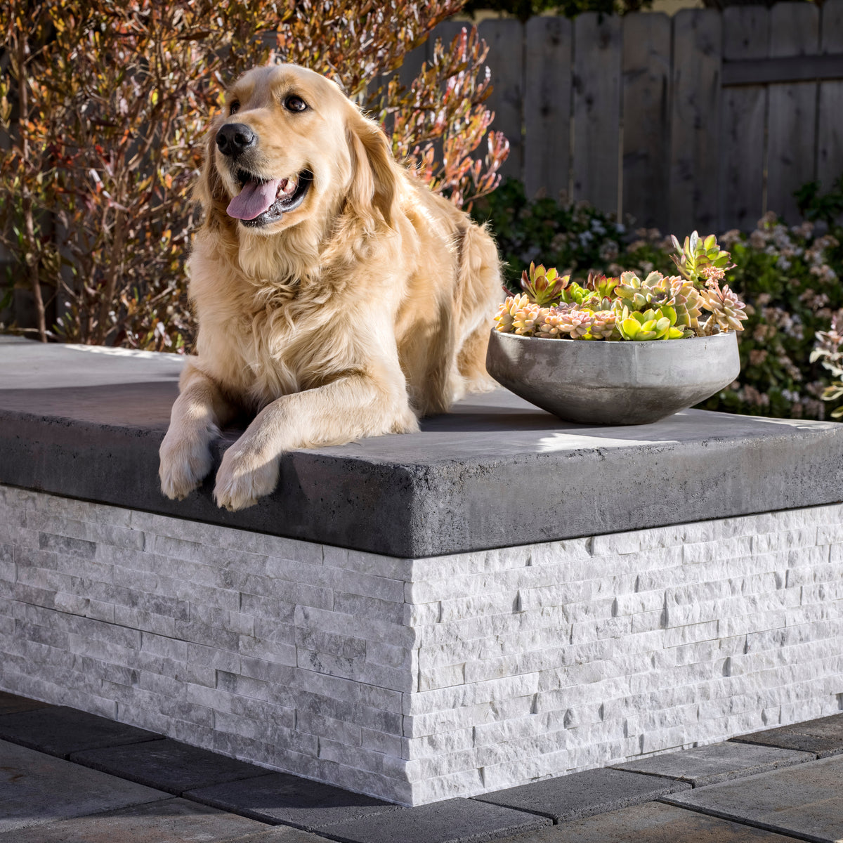 Ledger Panel Hazy Grey Split Face