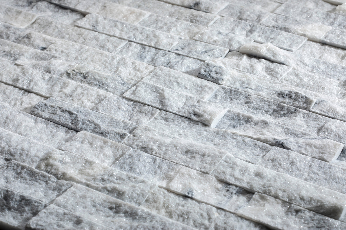 Ledger Panel Moonlit Split Face