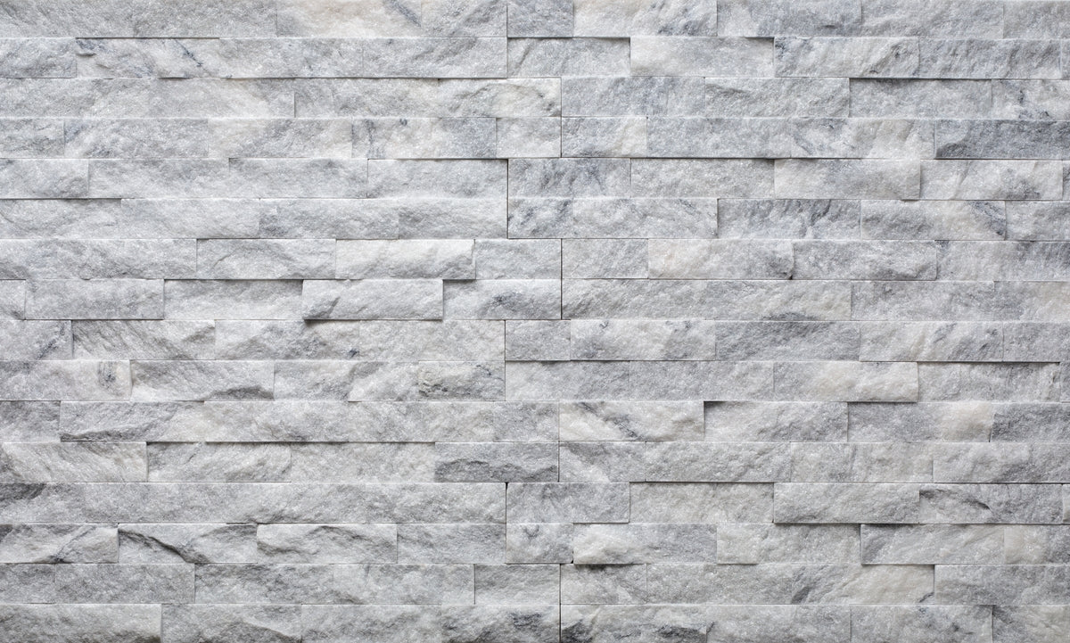Ledger Panel Moonlit Split Face