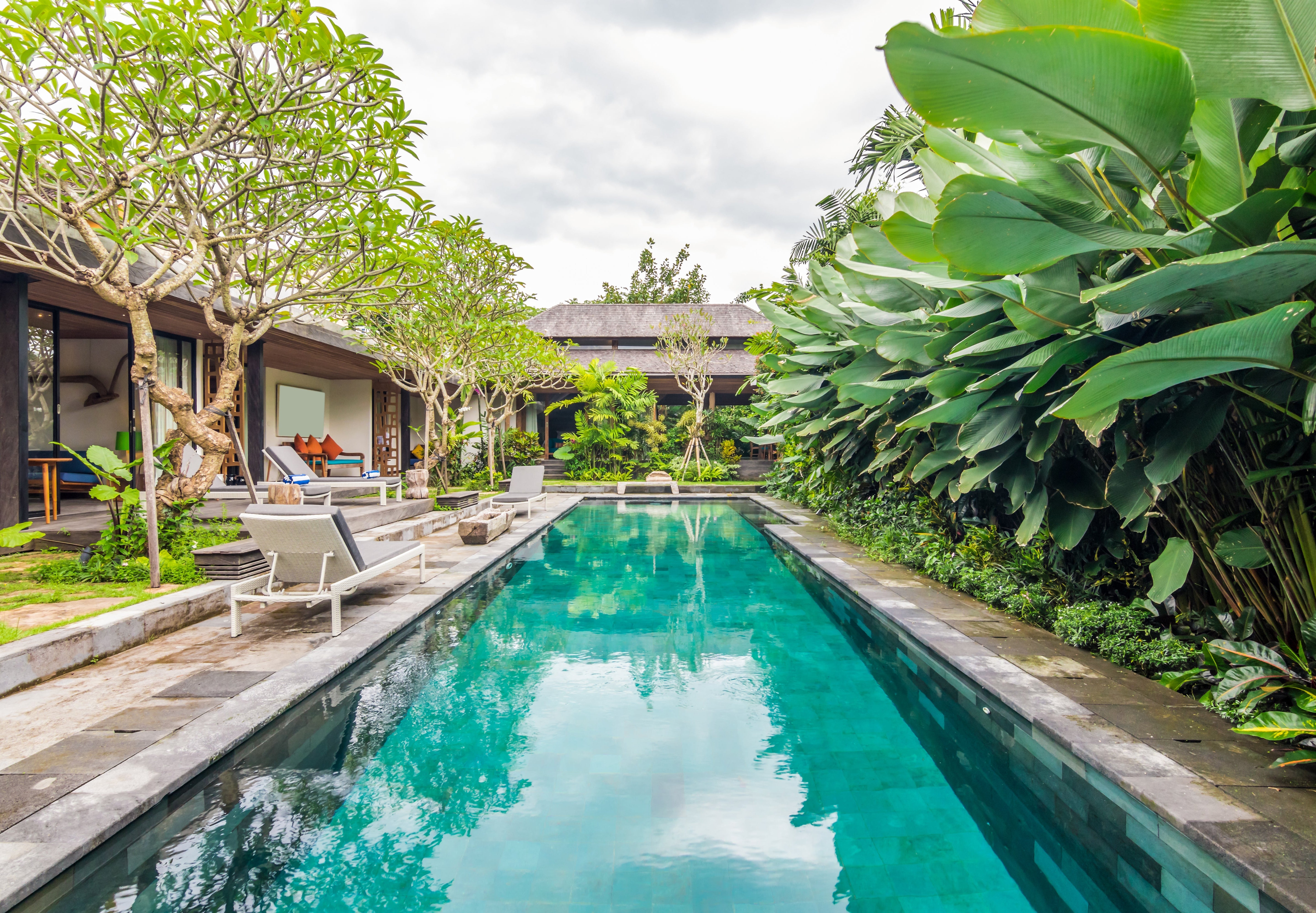 6"x6" Sukabumi Select