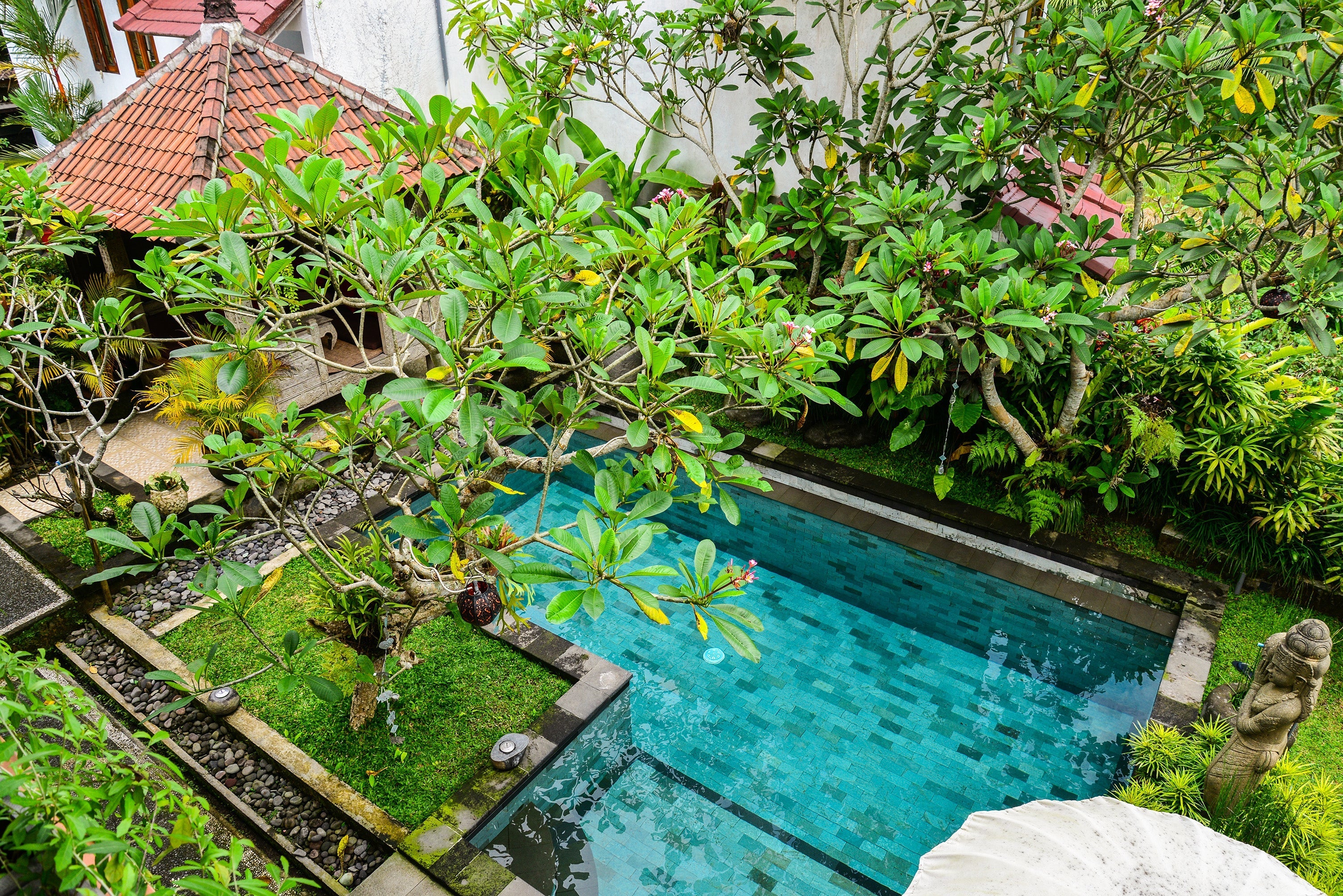 4"x8" Sukabumi Select