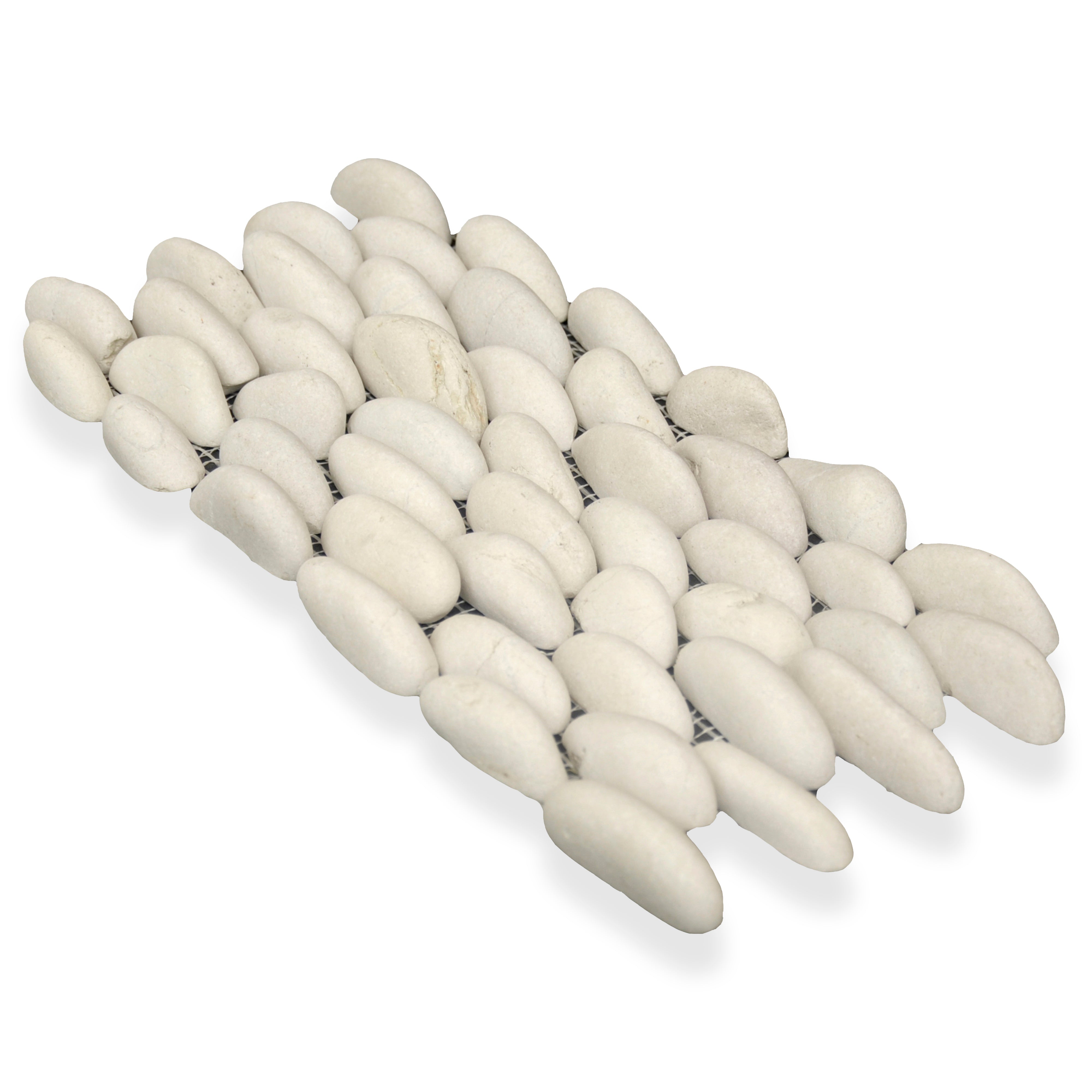 #Color_Antique Timor White